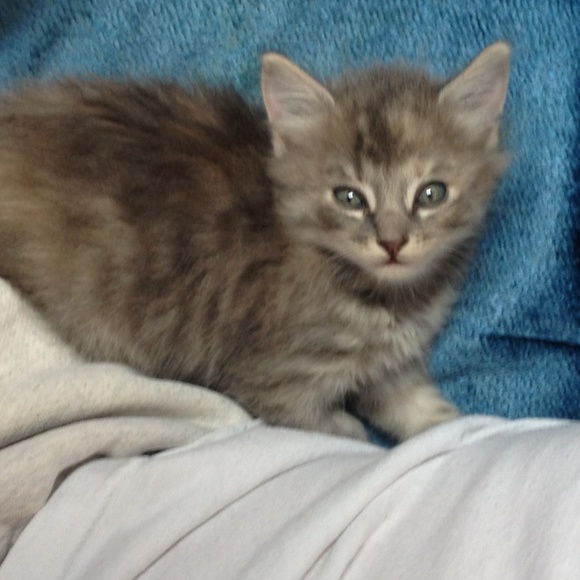 Meet your Posher, Susan - Picture 2 of 3